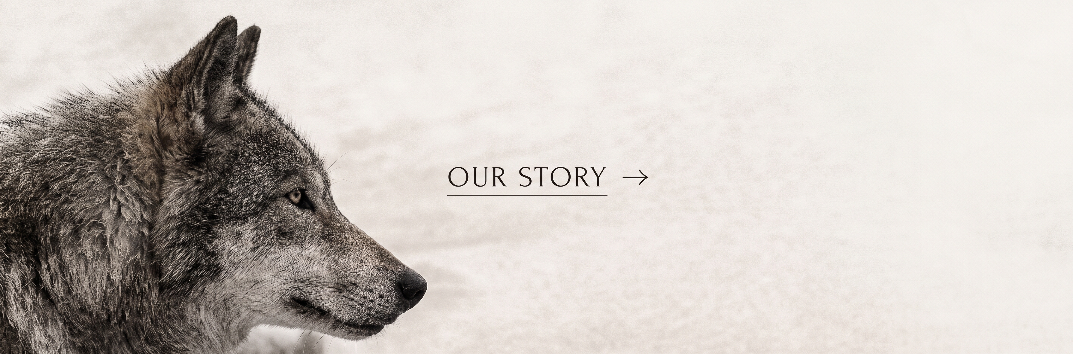 The Wolf — Maison De Loup Atelier Emblem